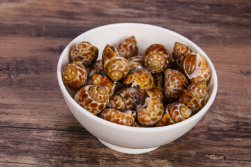 Tasty mollusk - spotted Babylon in the bowl