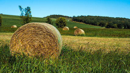 Hayfield