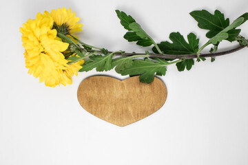 on a light background a wooden heart with a sprig of a yellow chrysanthemum flower. Festive...