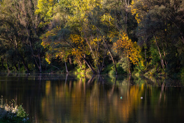 autumn trees reflected in water