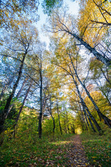 Beautiful autumn landscape in Vanadzor's botanical garden