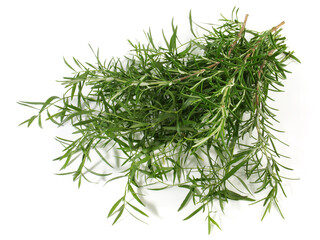 Fresh Tarragon with Rosemary Bundle isolated on white Background