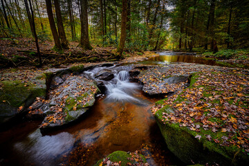 Fototapeta premium Small waterfall on Flat Lick Creek near Gray Hawk, Kentucky.
