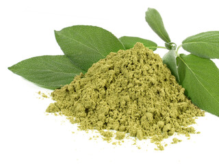 Fresh Sage with Sage Powder isolated on white Background