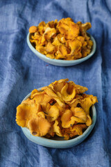 Two pale blue ceramic plates with chanterelles on a cornflower blue canvas. Vertical image.