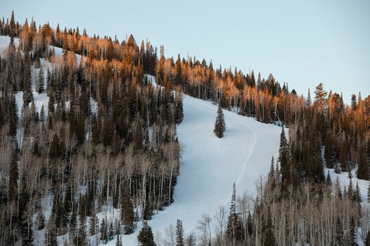 Sunrise on the ski slopes at Deer Valley, near Salt Lake City, Utah.