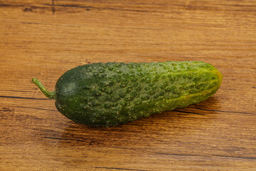 Green ripe fresh cucumber over background