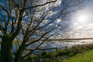 autumn landscape over the backwaters