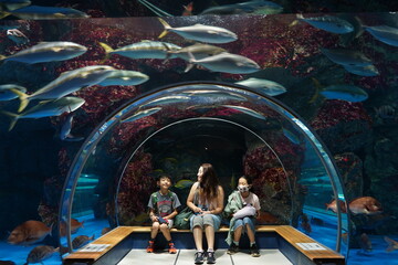 家族旅行　親子　水族館　のとじま水族館　チューブ　楽しい　夏休み　思い出