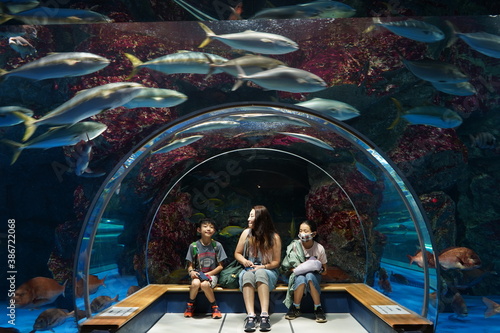 家族旅行 親子 水族館 のとじま水族館 チューブ 楽しい 夏休み 思い出 Wall Mural Yuko