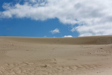 Fototapeta na wymiar Sand dunes background a blue cloudy sky on the Curonian Spit in Lithuania.