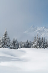 Winter in den Alpen