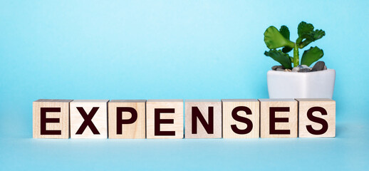 The word EXPENSES is written on wooden cubes near a flower in a pot on a light blue background