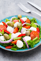 Vegetable salad with cheese mozzarella, tomatoes, basilikum and spice.