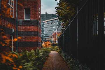 Small path with buildings in the background