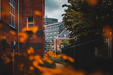 Small Path With Buildings The