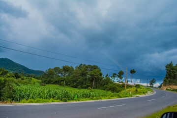 carretera con paisaje verdes 
