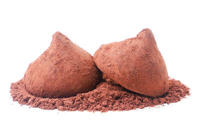 Truffle sweets with cocoa powder on a white background. Isolated