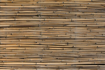 Background made of bamboo