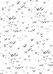 isolated background  on background white