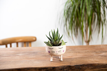 cactus in a cat figured pot hand made ceramic