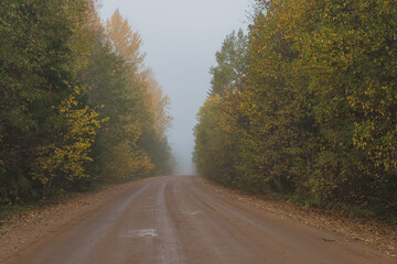 Fototapeta premium Foggy autumn in the forests of Pskov region, Russia