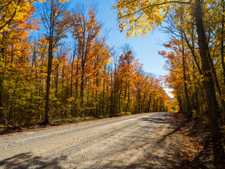 Obraz premium Autumn road on a sunny day