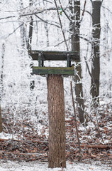 Bird feeder in winter with snow