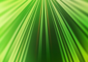 Naklejka premium Light Green vector layout with flat lines.