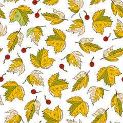 Fototapeta premium autumn leaves and berries seamless pattern. botanical sketch, outline. Hand drawing ink. For packaging, wallpaper, fabric, wrapping, invitations