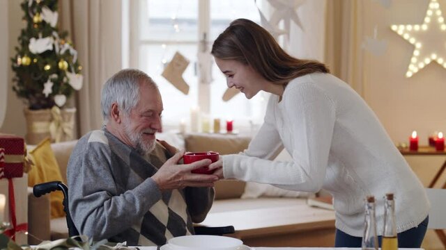 Young woman giving tea to senior grandfather in wheelchair indoors at home at Christmas.