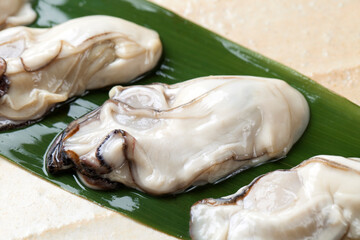 生牡蠣