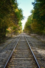 Obraz premium Train tracks disappearing into the distance