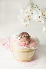 A one week old newborn baby girl sleeping in a little, wooden bucket. She is wearing a cream...