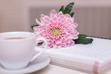 Cup of tea, schedule, notes and pink flower on white table