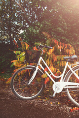 Fototapeta na wymiar Vintage bicycle in autumn forest