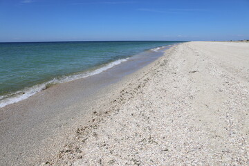 Fototapeta na wymiar sand dunes with grass by the sea