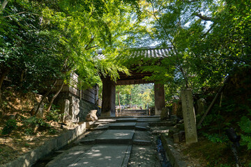 京都　高台寺