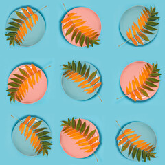 Abstract autumn colorful pattern. Autumn leaf in round plate on a blue background. Flat lay