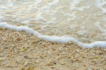 Fototapeta na wymiar 珊瑚の欠片がいっぱいの朝の波打ち際
