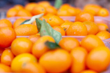colorful appetizing tangerines on the counter close up