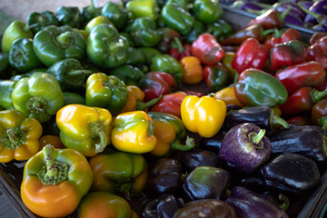 Variety of bell peppers - yellow, green, red, purple