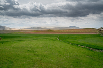 Beautiful green field with mountains and cloudy sky in the background