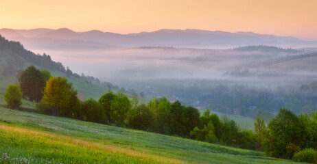 Dawn in the mountains. Wide green meadow in the foreground.  Rich color palette. Spring Carpathians.