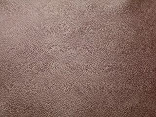 Fototapeta premium Brown cattle leather texture background
