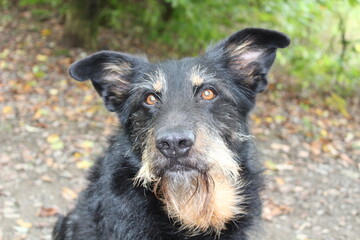 Bitte ein leckerchen