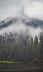 Mountain Lake Synevir in the rainy foggy summer day in Carpathian, Ukraine.  Beautiful nature scenery outdoors. Coniferous forest with tall trees on the shore