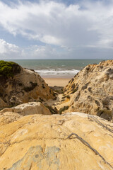 unas vistas de la bella playa de Mazagon, situada en la provincia de Huelva,España. acantilados,pinos y vegetacion