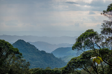 Paisaje arboles nubes 