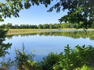 lake in the park